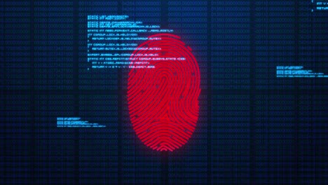 animation of digital biometric fingerprint computer interface icon and data processing on blue backg