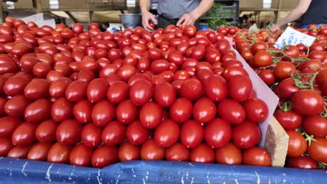 red tomatoes at a farmers market