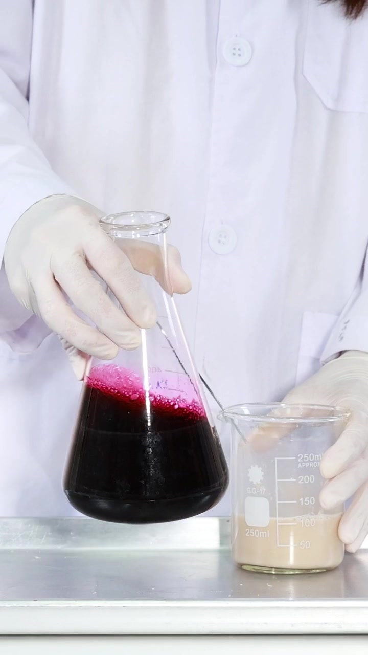 Uno scienziato con i guanti e in camice da laboratorio agita una soluzione chimica magenta scuro in vetreria.