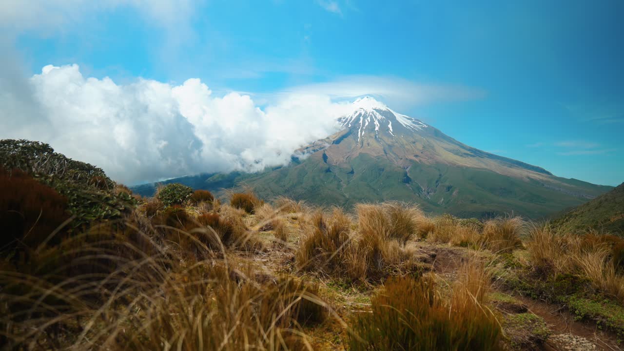 Mount Taranaki's grace with wind-blown grass in mesmerizing stock footage