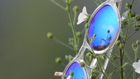 Gafas-Flores---Hermosa-