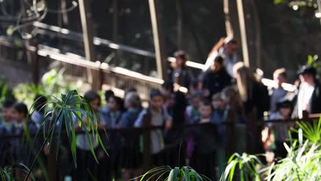 children and adults observing animals at the zoo