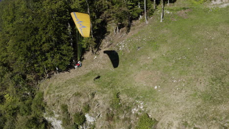 paragliding over forest landscape