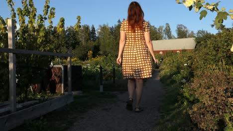 woman walking in garden to country house at sunset, countryside