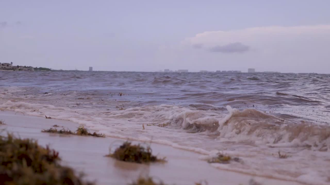 해변의 해안선에서 파도