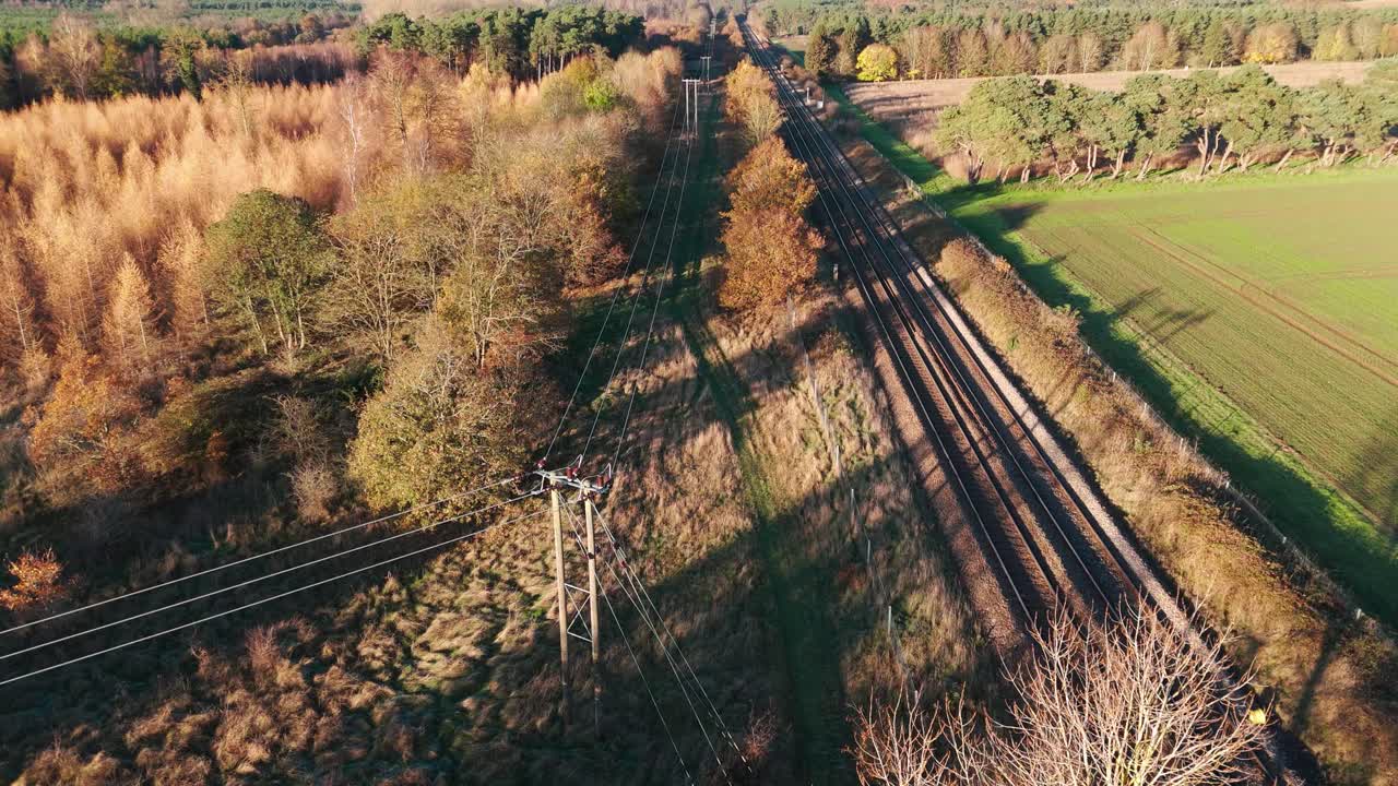 숲을 가로질러 가을 철도 노선