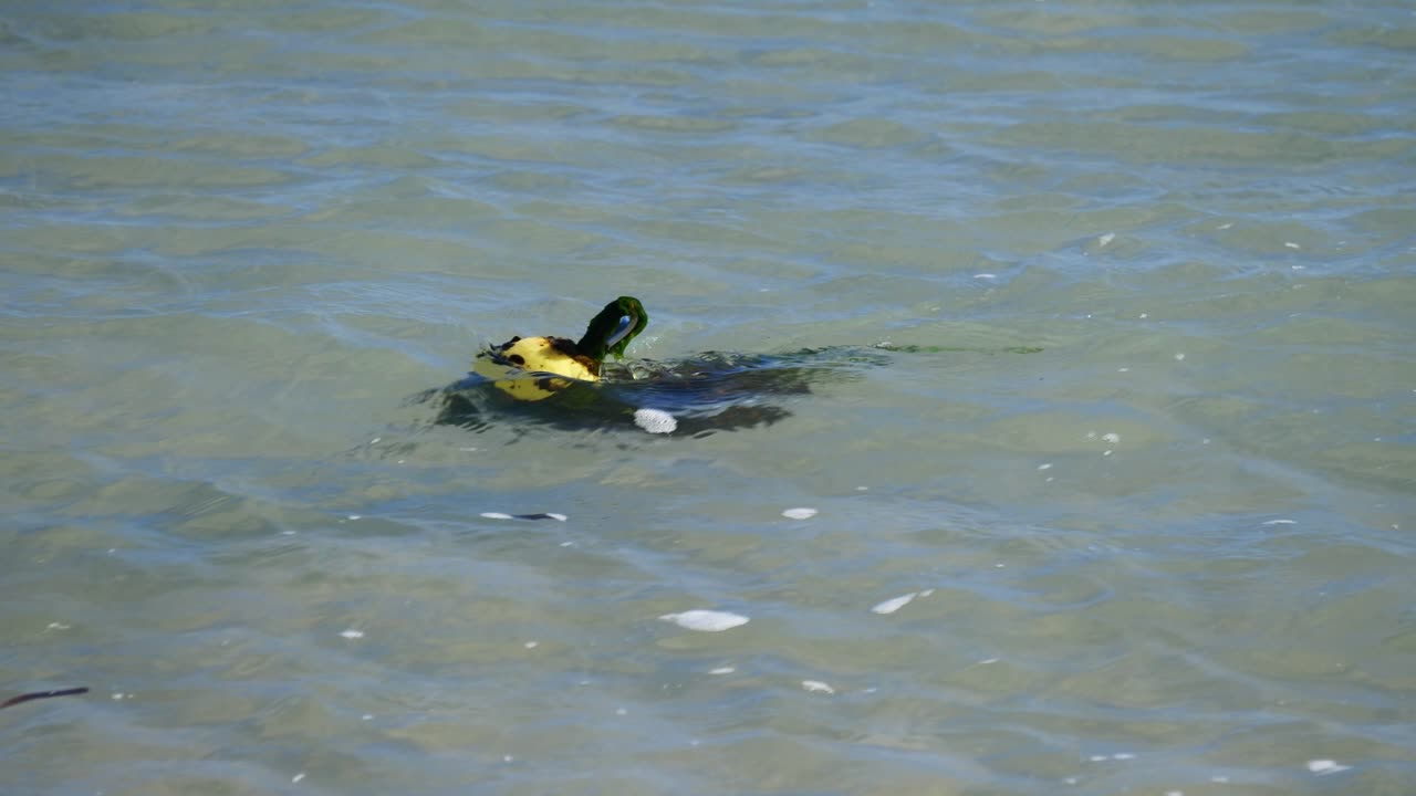 Yellow buoy half-submerged in slow motion