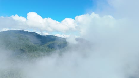 mountain range covered in clouds, dense white fluffy clouds moving, flying through the clouds, forest carbon management, evergreen forest deciduous forest, conservation area