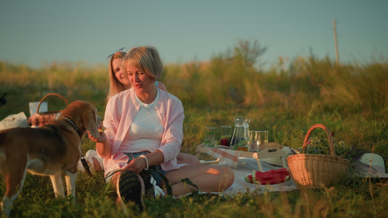 Woman feeding dog on leash with watermelon during outdoor picnic, smiling while second woman sits behind, also smiling warmly, dragonfly flying in the background