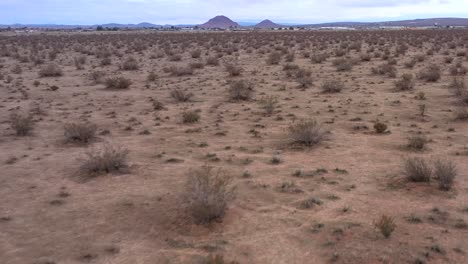 Ein-Einsamer-Kojote-Rennt-Durch-Die-Mojave-Wüstenlandschaft-Und-Sucht-Nach-Nahrung---Luftbild