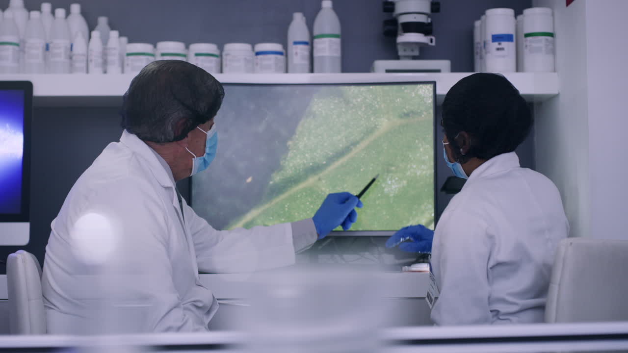 기술자 들 이 컴퓨터 에서 식물 을 연구 하고 있다