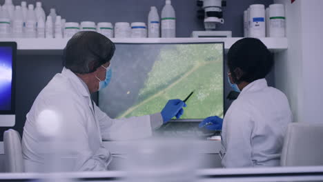 técnicos investigando una planta en una computadora