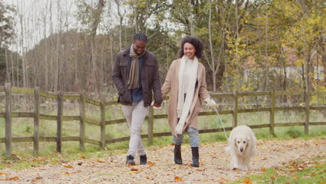 Paar-Spaziert-Gemeinsam-Mit-Seinem-Haustier-Golden-Retriever-Durch-Die-Herbstliche-Landschaft-–-Aufgenommen-In-Zeitlupe