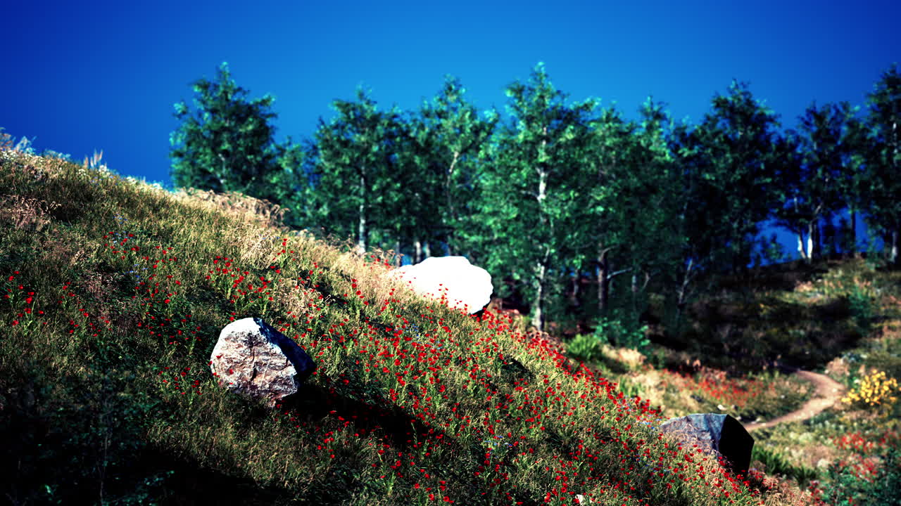 피레네 산 계곡 의 아름다운 파노라마 풍경