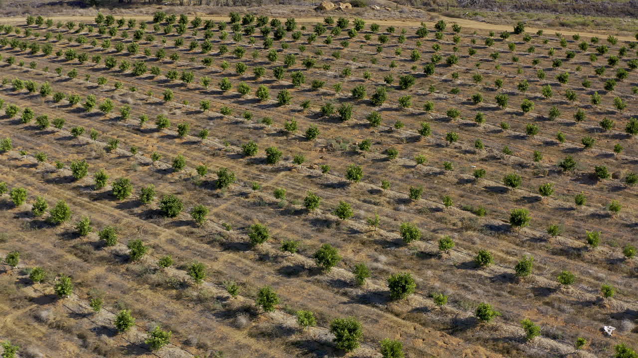 Isn't the beginning of life simply beautiful?