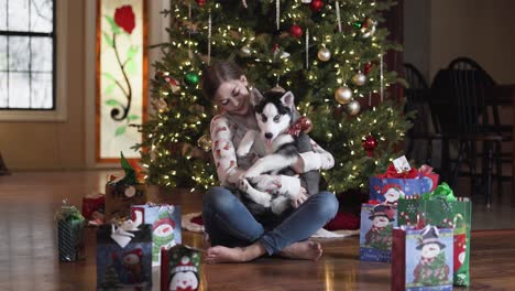 young girl gets siberian husky puppy for christmas