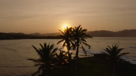 el sol brilla a través de las hojas de las palmeras en una escena de puesta de sol tropical