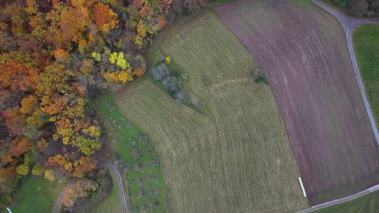 Aerial shot of a corn field blending with an autumn forest