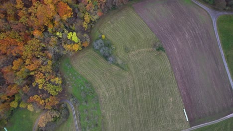 aerial shot of a corn field blending with an autumn forest