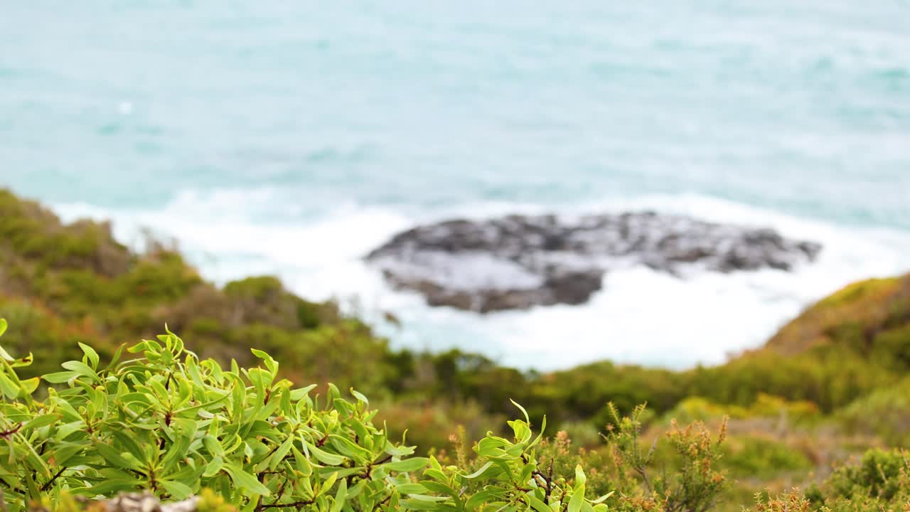 Waves crash against rocky shores with lush greenery in the foreground under bright daylight