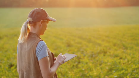 a farmer works in a field of young corn uses a tablet back view