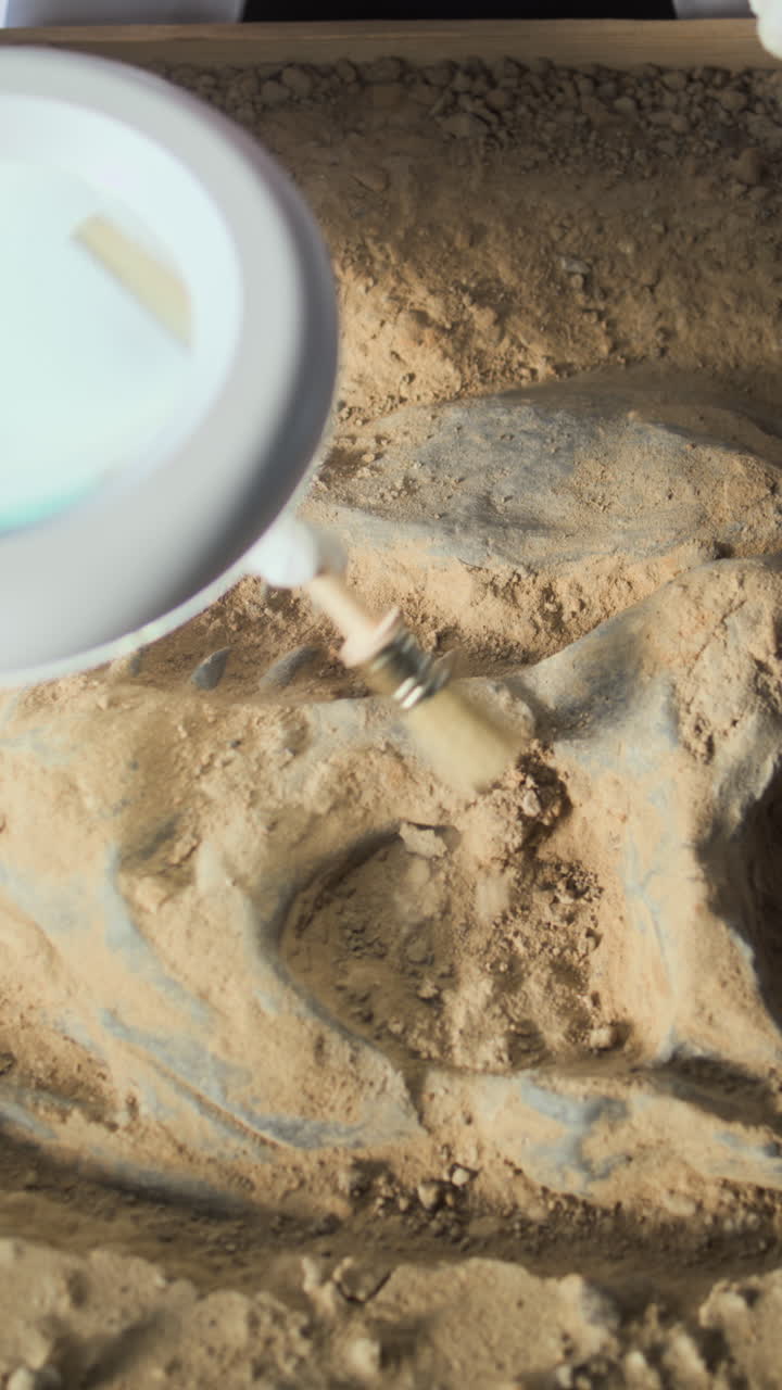 화석 발굴 및 준비