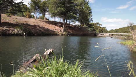 Toma-En-Tiempo-Real-De-Un-Río-Pacífico-En-Nueva-Zelanda