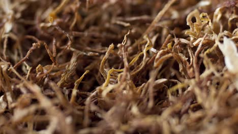 dried tobacco herbs as background