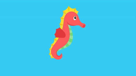animación de caballo de mar rojo con espacio de copia en fondo azul