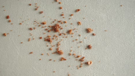 crumbs on a light gray surface