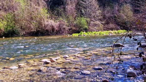 peaceful static shot of a stream located in the north of italy