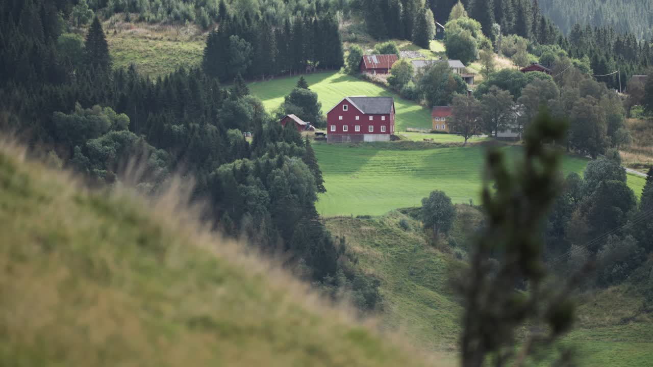 A peaceful rural scene with a small village with tidy red houses and barns surrounded by grass fields and dense forest areas.