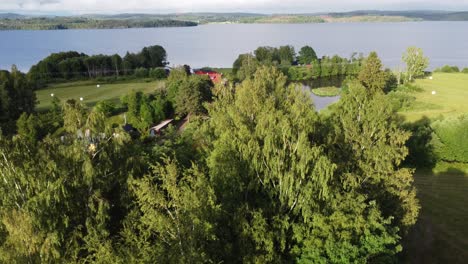 Drohne-Fliegt-über-Einen-Baum-Und-Enthüllt-Ein-Haus-Am-Flussufer