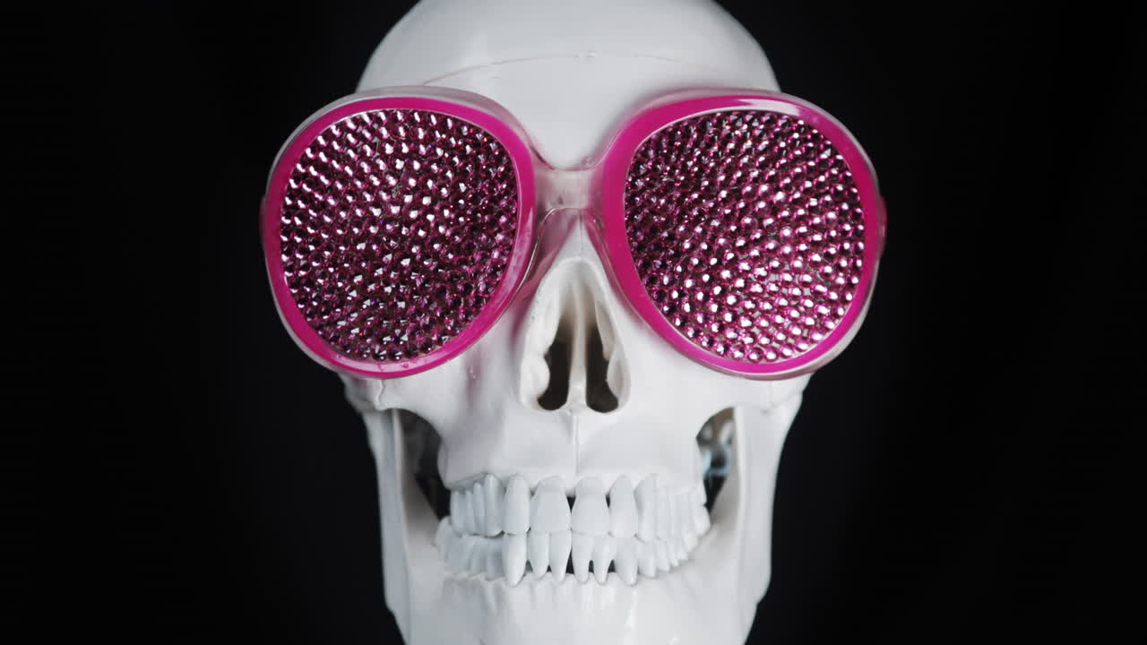Human skull with sunglasses