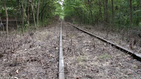 slow tilt up shot of old abandoned overgrown train tracks