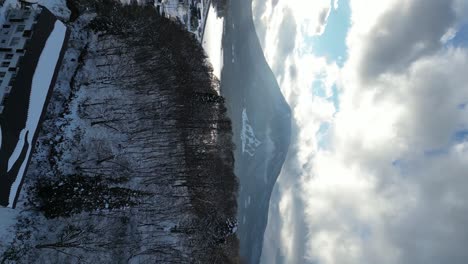 Pullback-aerial-view-of-forest-and-Mt-Kurohime,-portrait-video