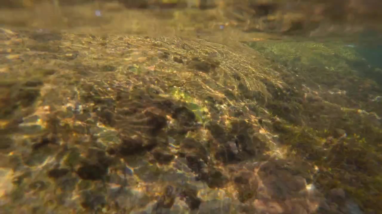 Vista subacquea di un fiume che scorre, che mostra rocce naturali, muschio verde vibrante e una corrente d'acqua limpida. Cattura la natura e l'ambiente.