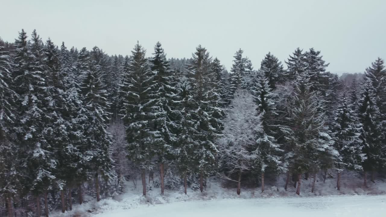 4k uhd 공중 드론 비행 클립이 독일 바이에른 겨울에 하얀 숲의 눈 덮인 나무 꼭대기를 따라 움직입니다.