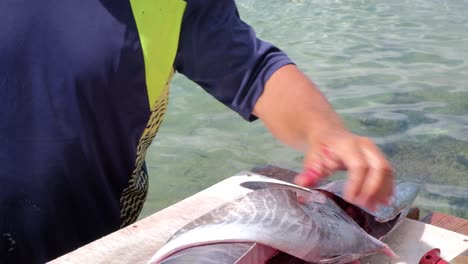 Fisherman-removing-pectoral-fins-of-freshly-caught-tropical-Wahoo-fish-outside-on-jetty-in-Caribbean,-close-up