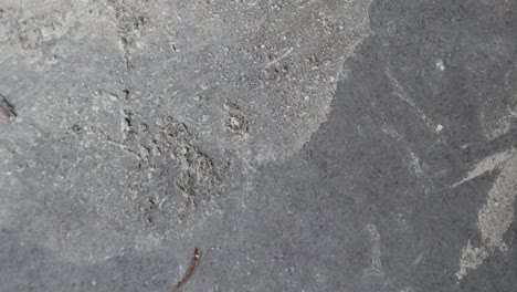 stop motion animated concrete texture background or useful for old films effects using opacity tool or luma matte
