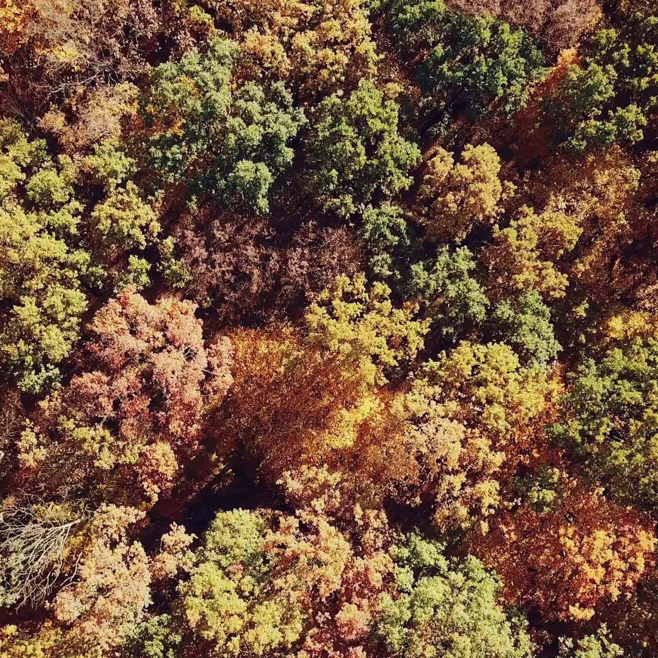 beautiful landscape on a multi-colored autumn forest. Aerial view. Camera motion up