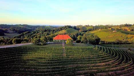 Luftdrohnenaufnahmen-Des-Weinhauses-Malek,-Das-In-Den-Hügeln-Nordöstlich-Von-Ormož-Im-Nordosten-Sloweniens-Liegt