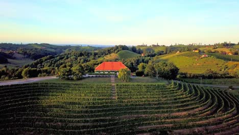 imágenes aéreas de drones de wine cottage malek, que se encuentra en las colinas al noreste de ormož, en el noreste de eslovenia.