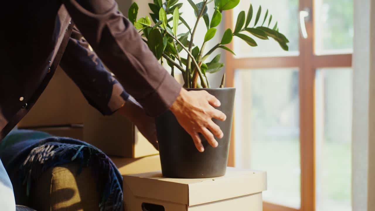 persona que mueve una planta durante una mudanza de casa