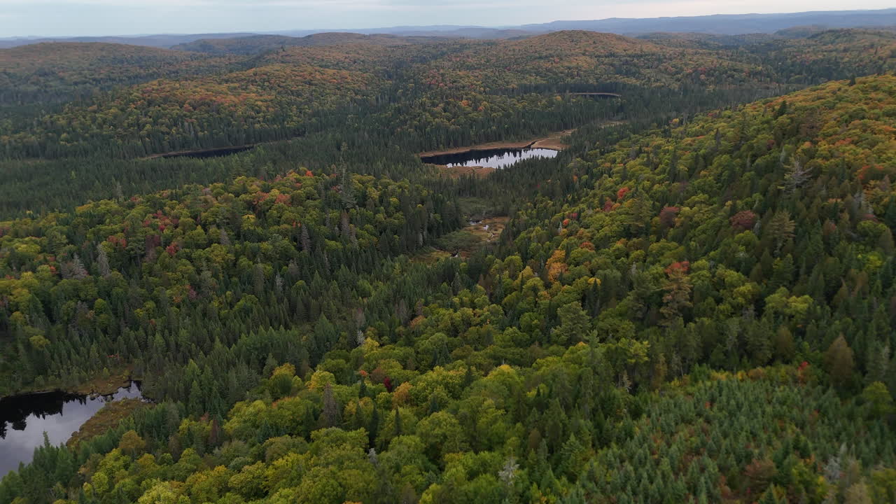 Cloudy aerial drone shot of a forest, lake, and river in autumn in Mauricie, Quebec, Canada. Soft light enhances the vibrant fall colors and peaceful natural landscape