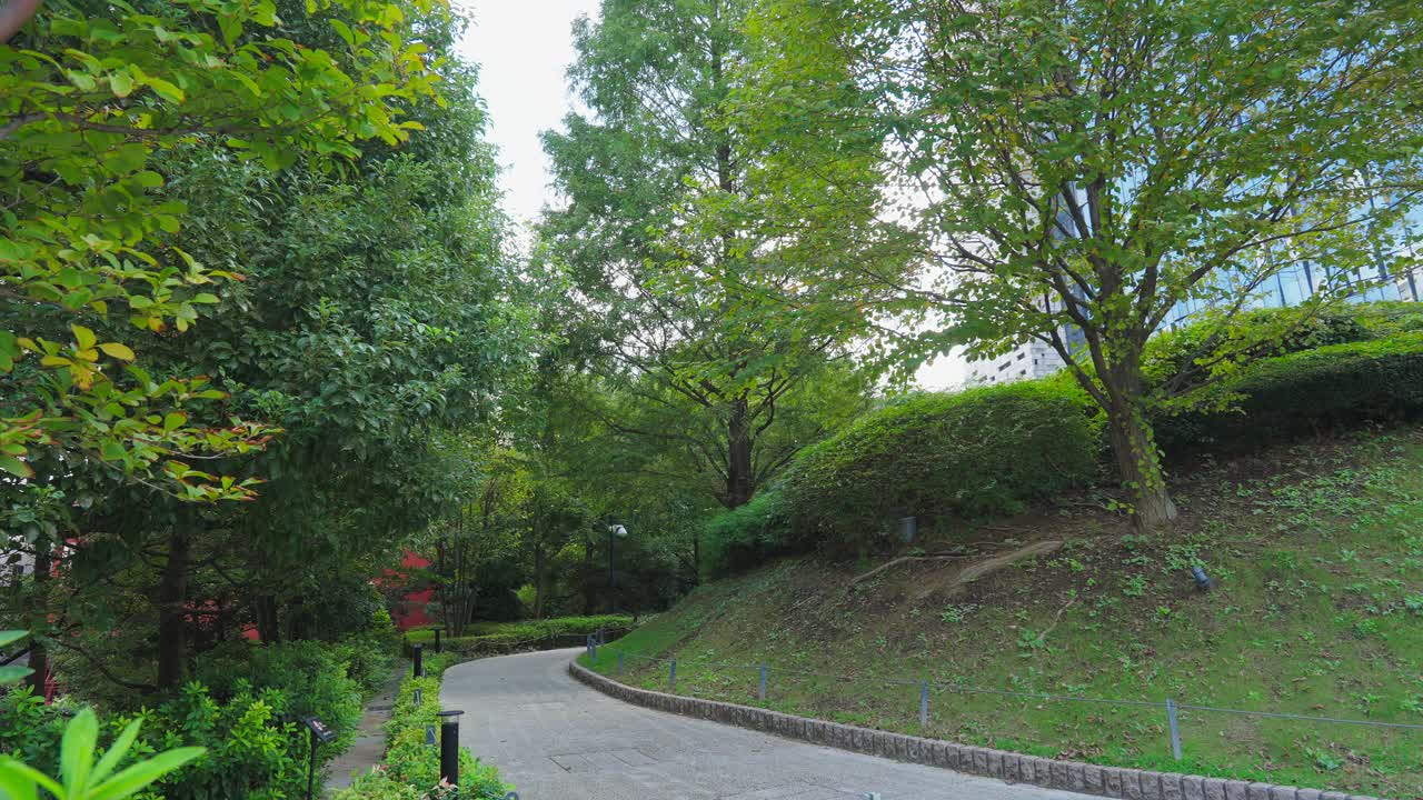 An eye-level shot of a curving asphalt pathway bordered by dense trees and a grassy slope in a tranquil urban park
