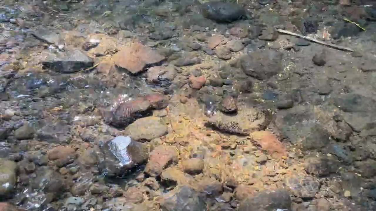 Acqua limpida che scorre sulle rocce in un ruscello poco profondo