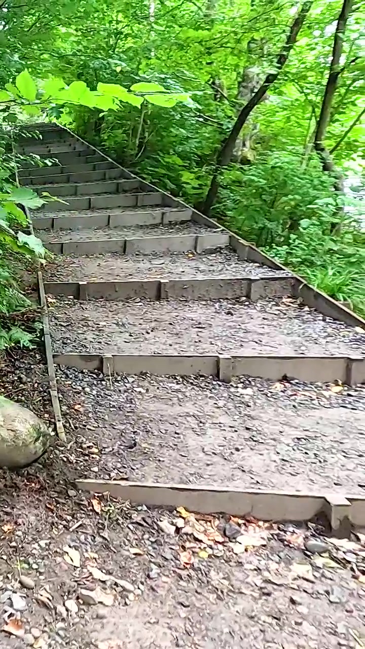 Stairs in forest with pedestrian warning sign