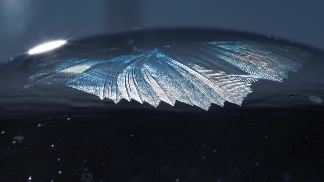 Ice crystals pattern is being formed on a surface of a soap bubble in winter