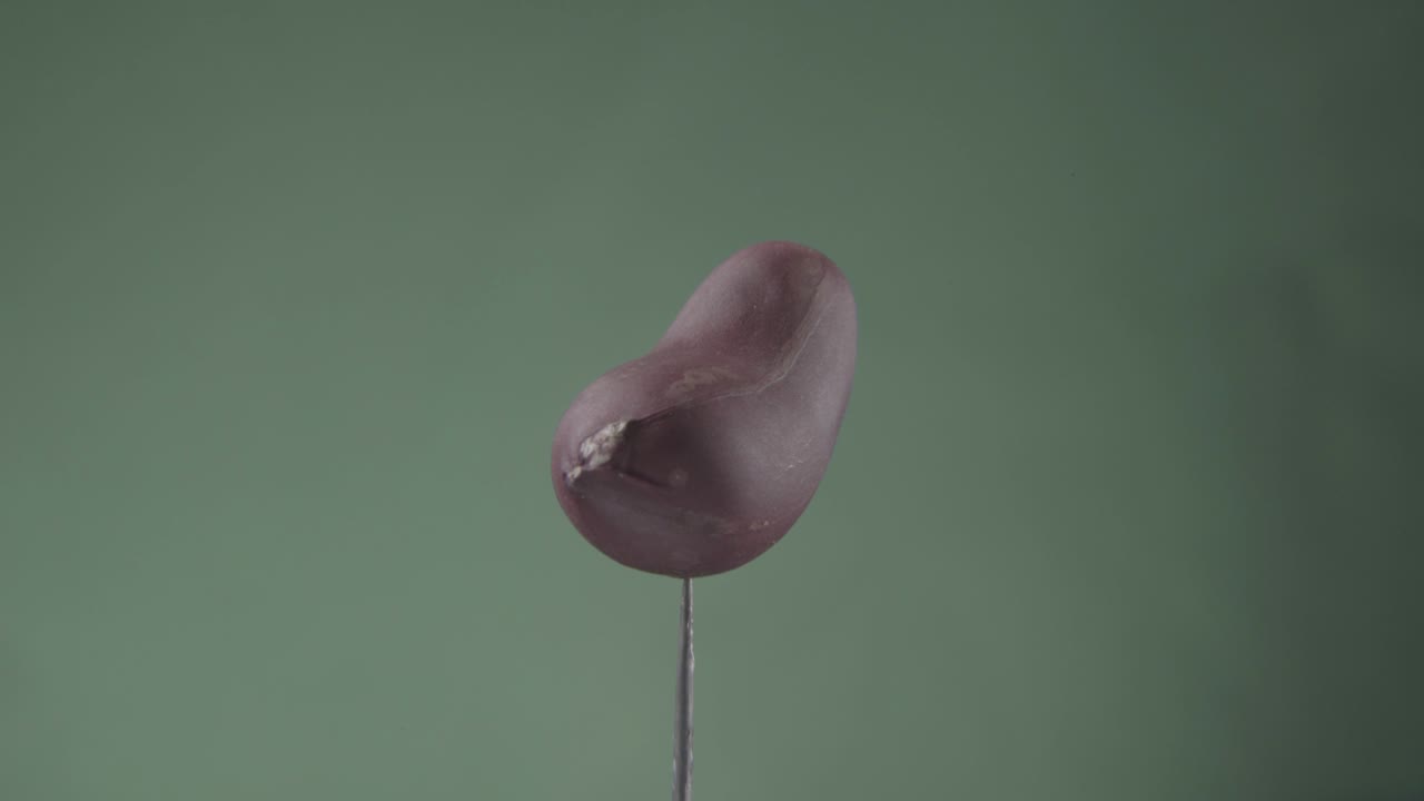 maní girando con bucle en la pantalla verde para la llave de croma